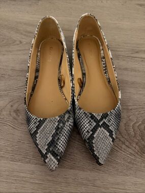 Express Snake-Print Pointed Flats - Black & White